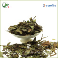 Organic Best White Tea Brands White Tea